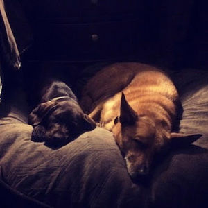 Meet your Posher, Isabelle